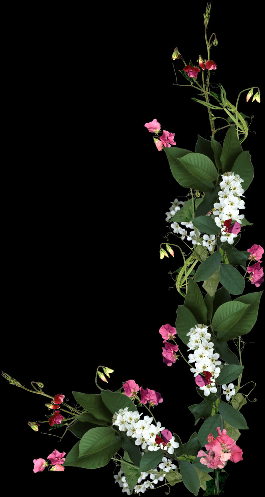 Floral Frameon Black Background.jpg PNG Image