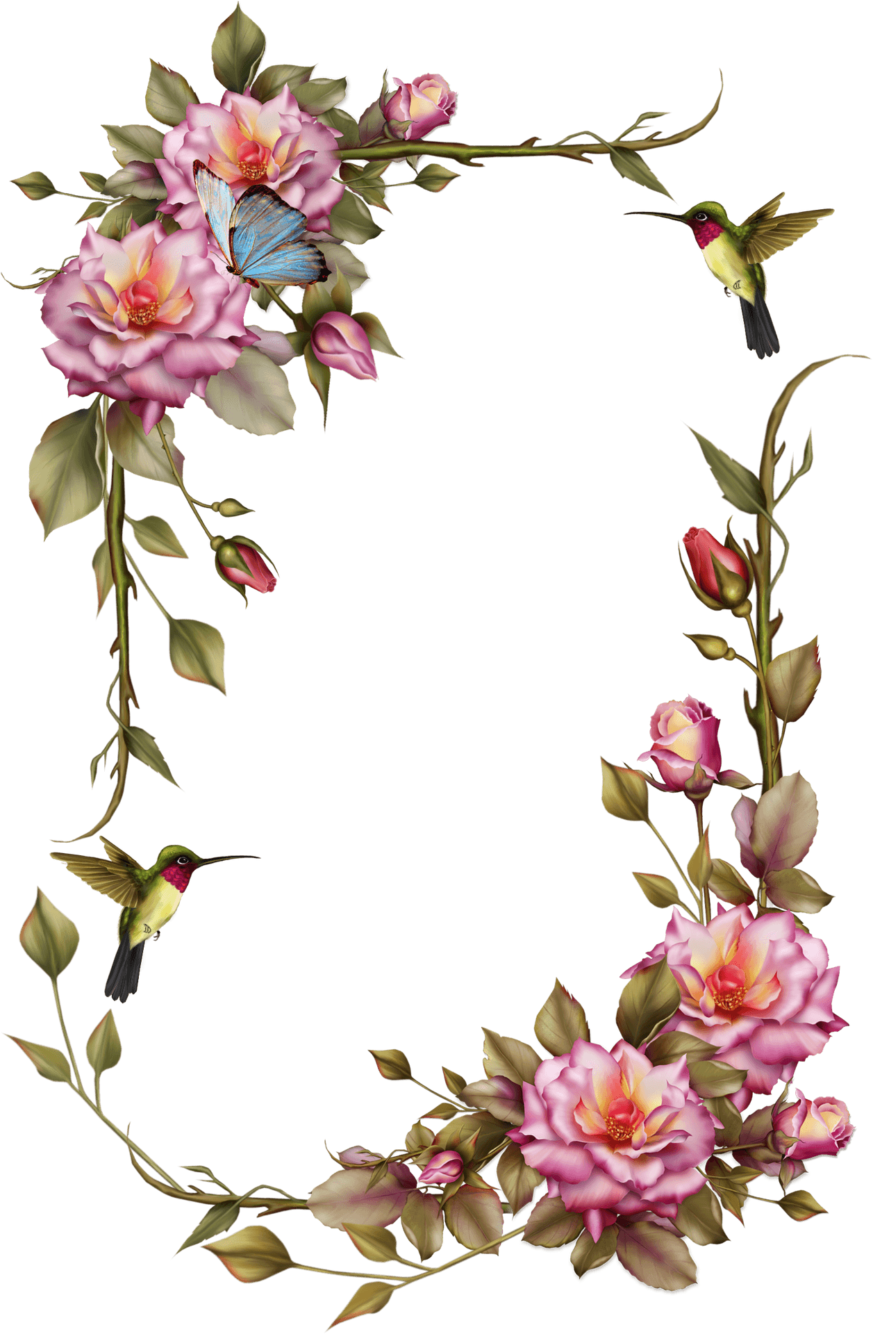 Floral Framewith Hummingbirdsand Butterfly PNG Image