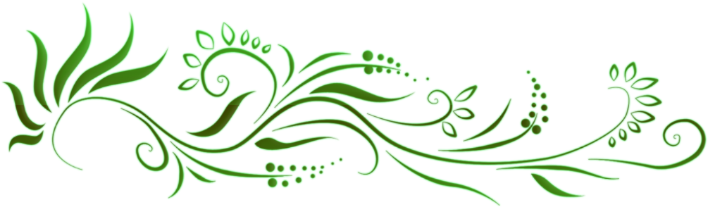 Floral Green Border Design PNG Image