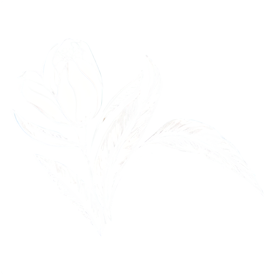 Floral Outline Sketch Png Wrv PNG Image