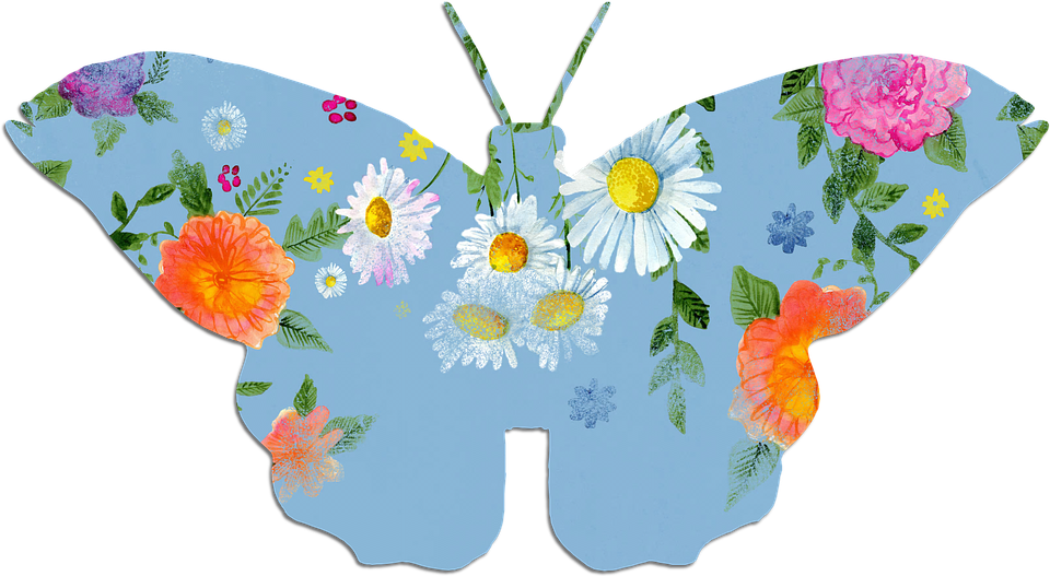 Floral Patterned Butterfly Illustration PNG Image