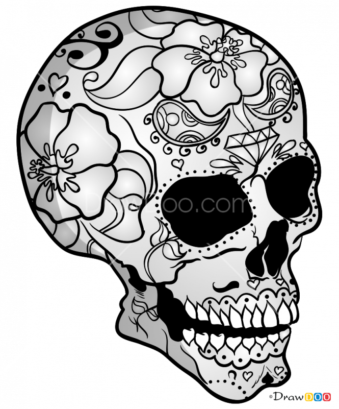 Floral Patterned Skull Drawing PNG Image