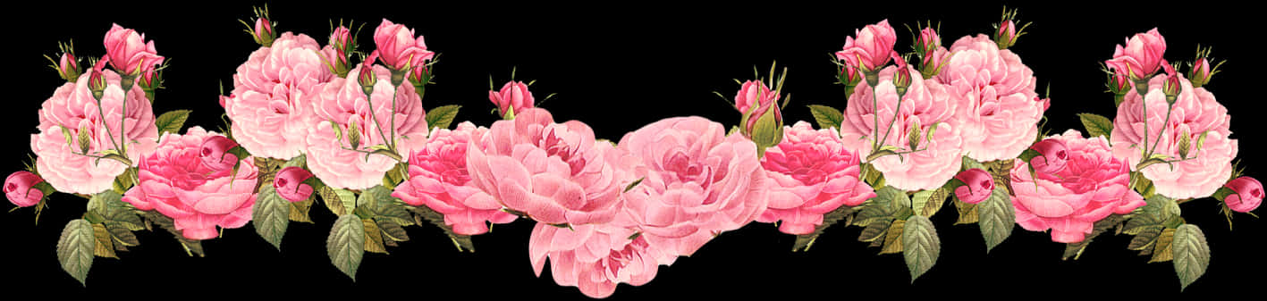 Floral Pink Roses Border PNG Image