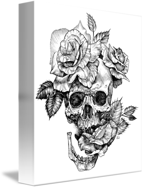 Floral Skull Artwork PNG Image