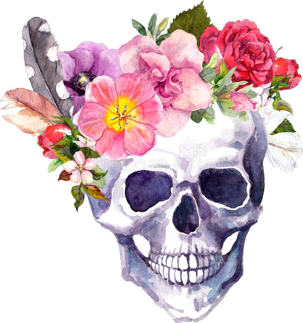 Floral Skull Watercolor Art PNG Image