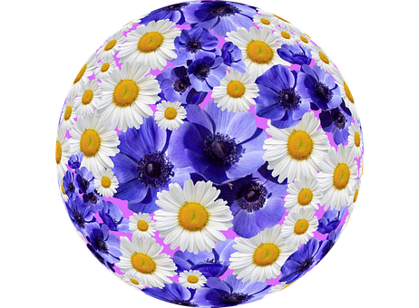 Floral_ Sphere_ Artwork PNG Image