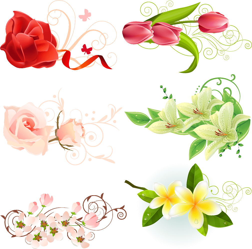 Floral_ Vector_ Collection.png PNG Image