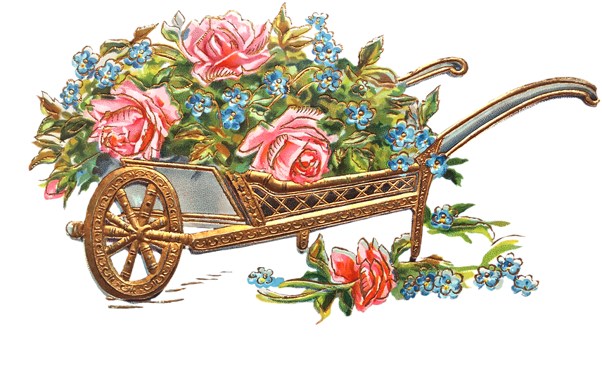 Floral Wheelbarrow Vintage Illustration PNG Image