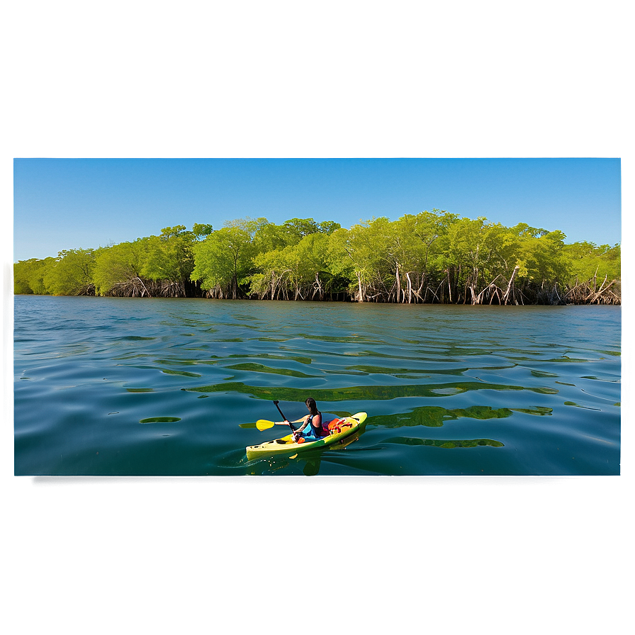 Florida Mangroves Kayaking Png 2 PNG Image