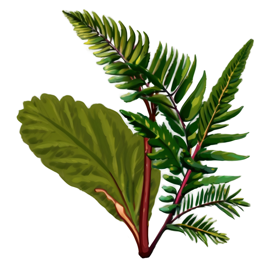 Florida State Native Plants Png Wbh86 PNG Image