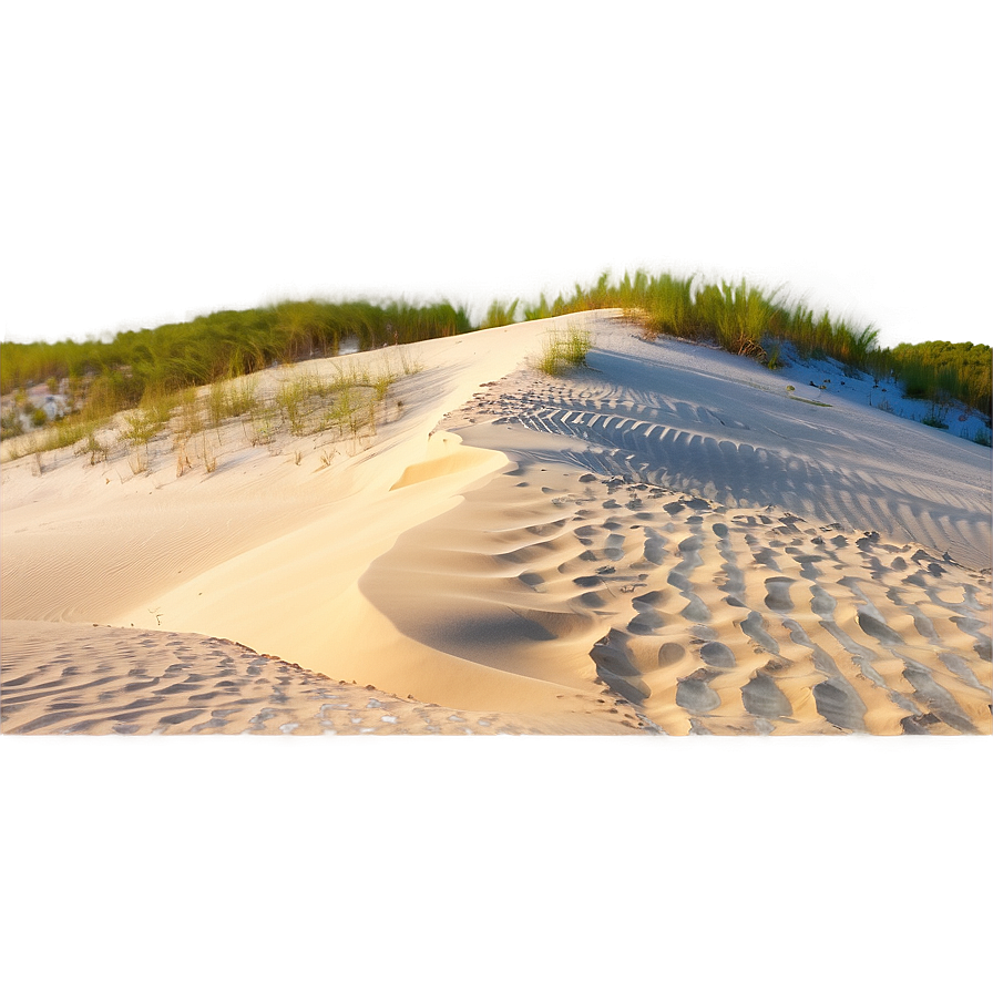 Florida State Sand Dunes Png Qhd PNG Image