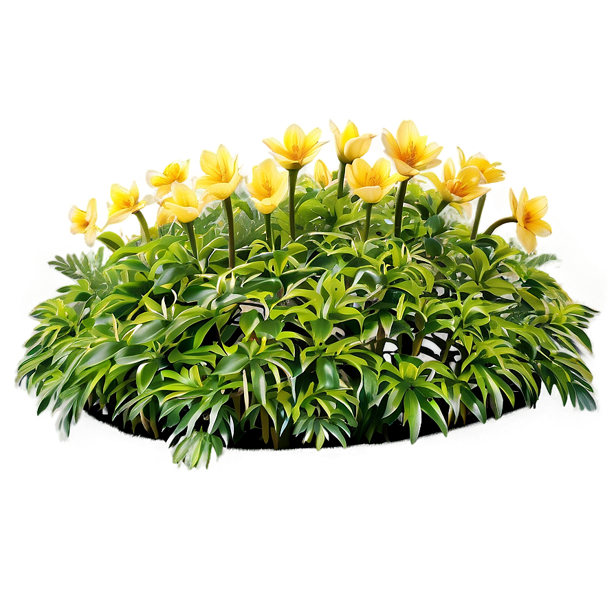 Flower Bed C PNG Image