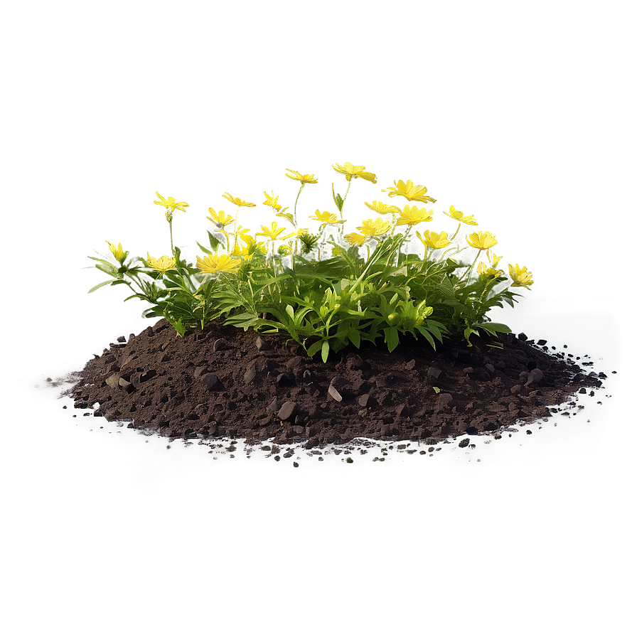 Flower Bed Weed Control Png Jgw80 PNG Image