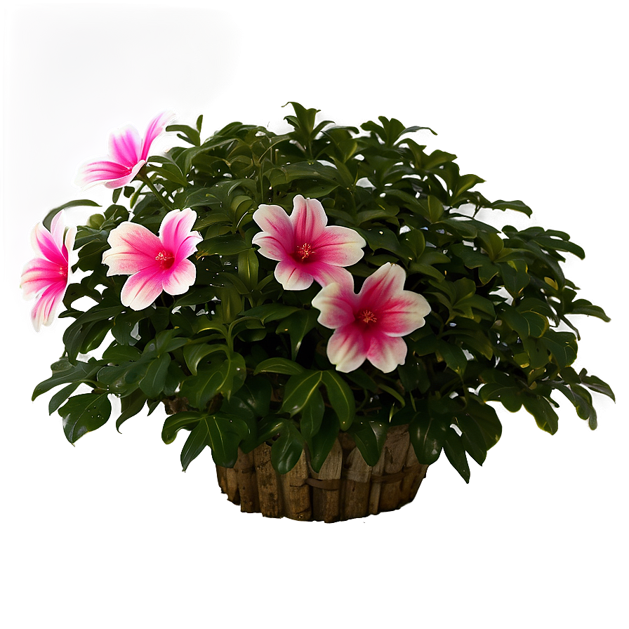 Flower Bush A PNG Image