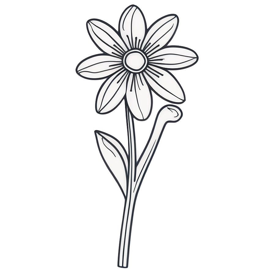 Flower Coloring Page Png Amu4 PNG Image