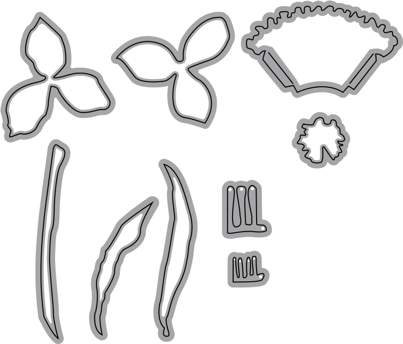 Flower_ Parts_ Outline_ Vector PNG Image