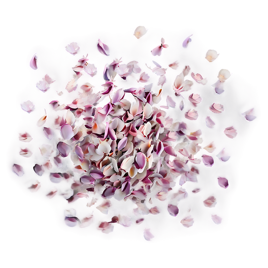 Flower Petals Scatter Png Axv40 PNG Image