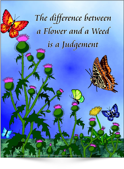 Flower Weed Judgement Quote PNG Image