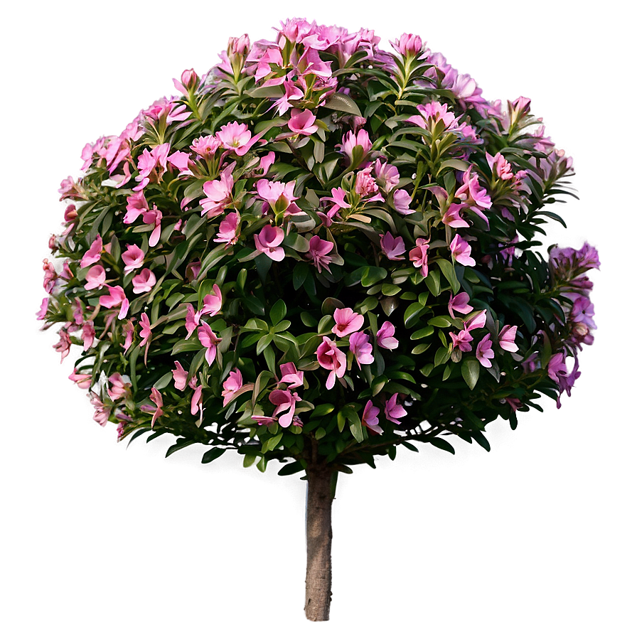 Flowering Shrub Png Fpr25 PNG Image