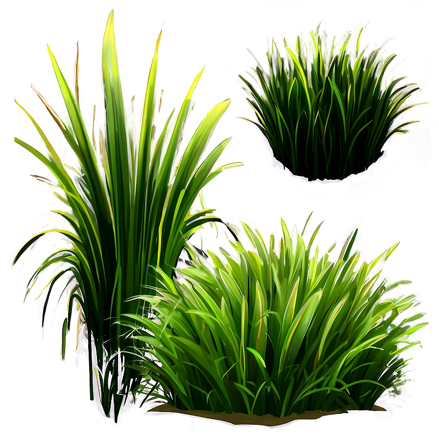 Fluffy Cartoon Grass Png 06122024 PNG Image