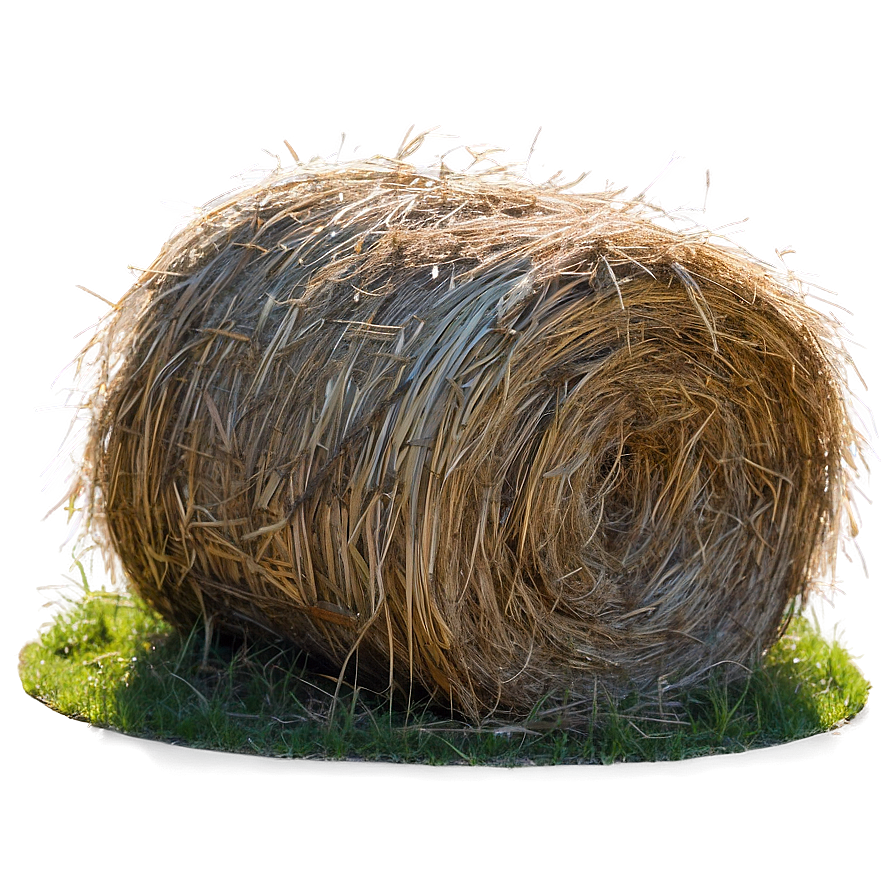 Fluffy Hay Patches Png 68 PNG Image