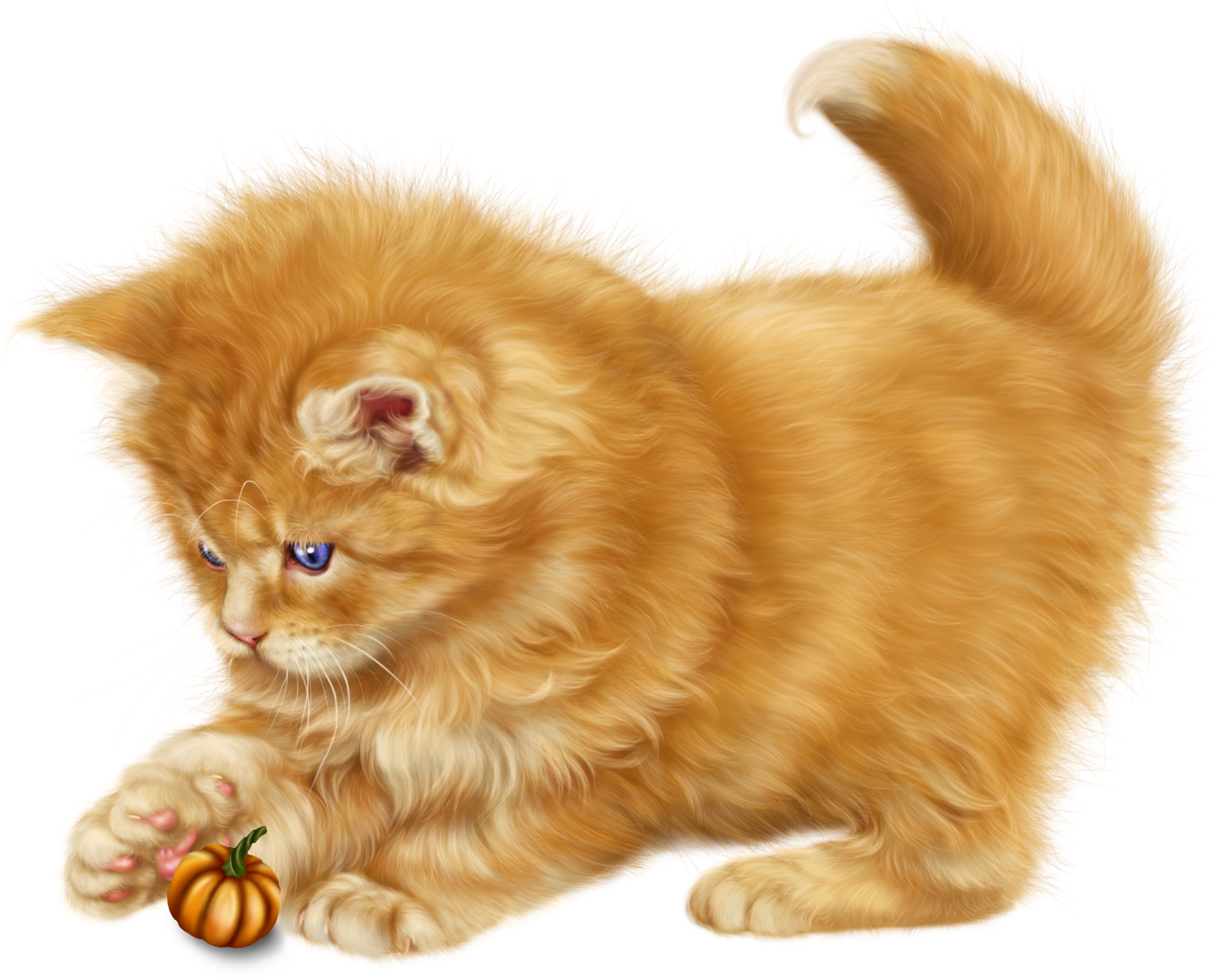 Fluffy Orange Kitten Playing PNG Image