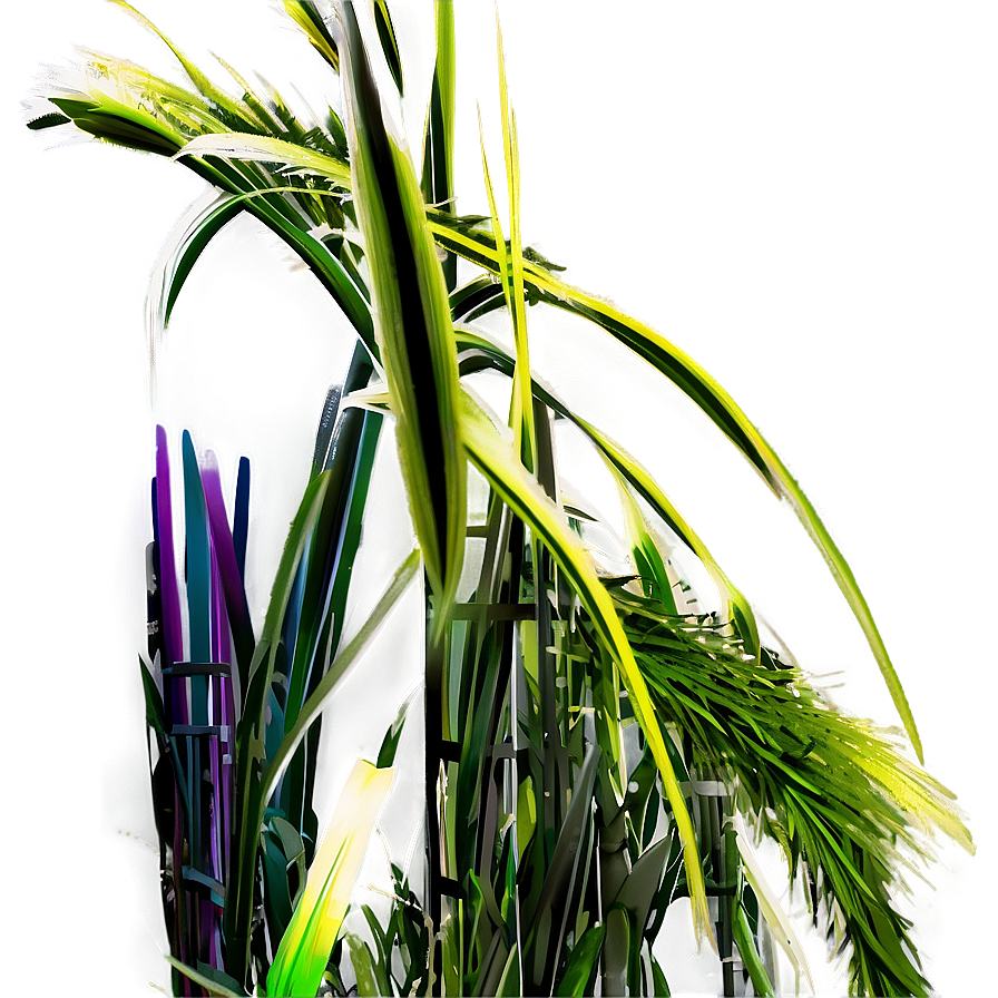 Fluffy Ornamental Grass Png Eow PNG Image