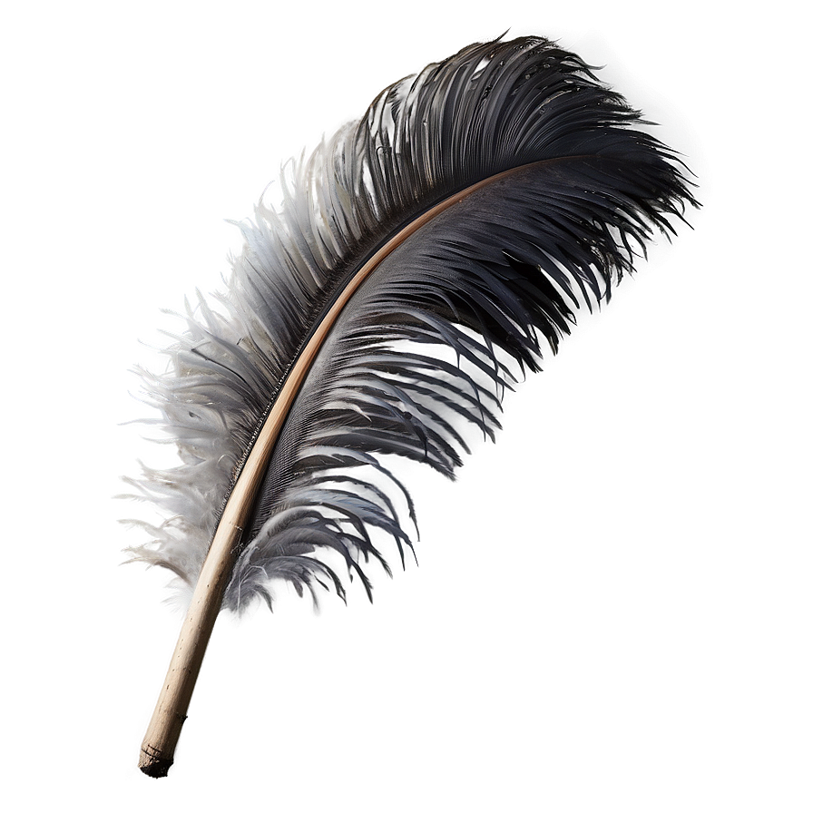 Fluffy Ostrich Feather Png 05042024 PNG Image