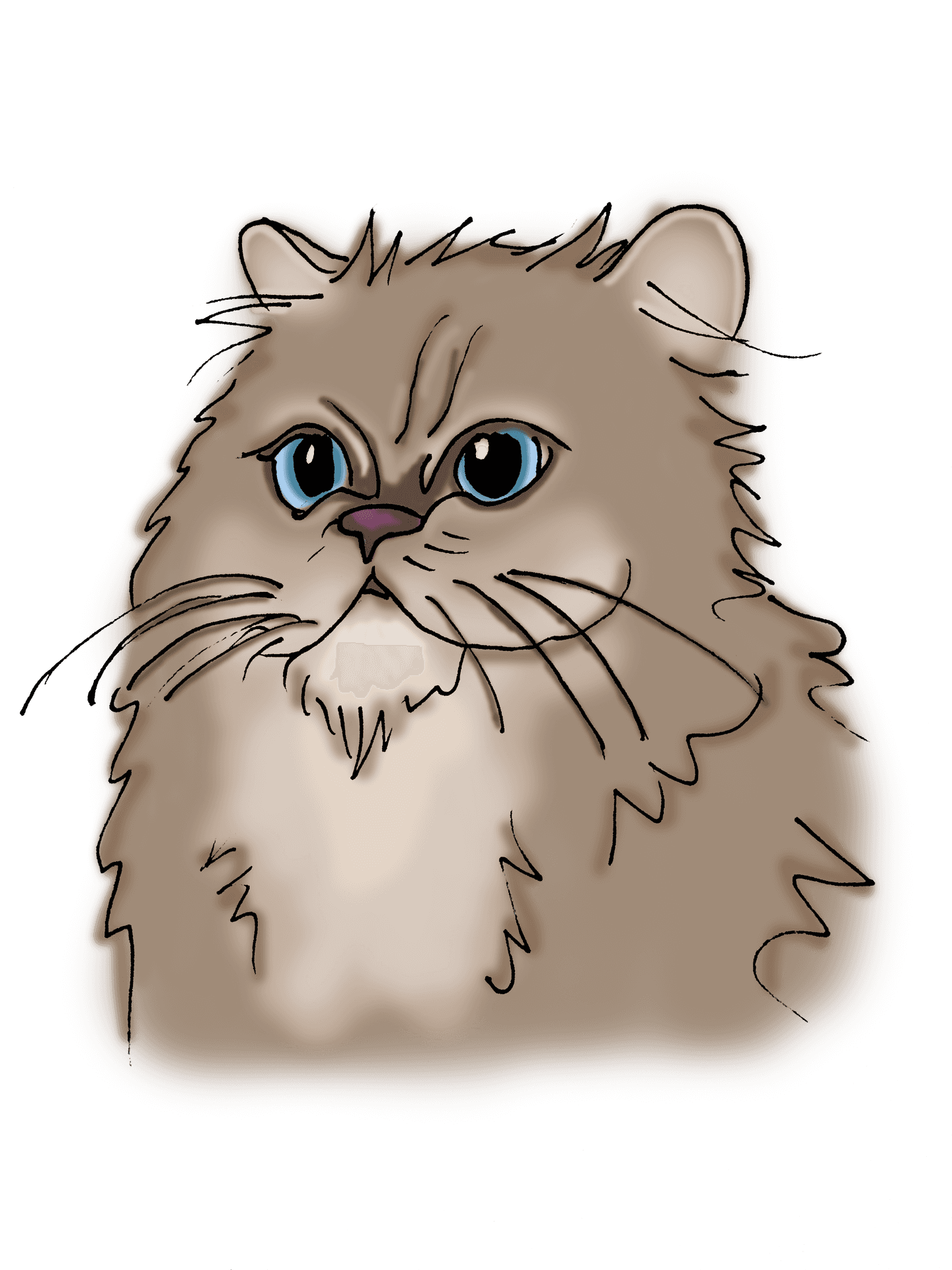 Fluffy Persian Cat Illustration PNG Image