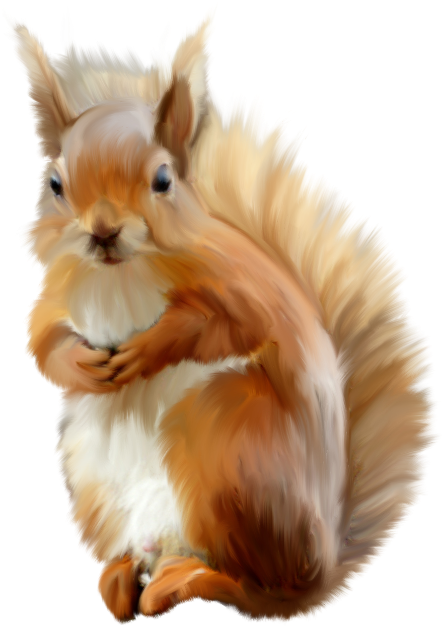 Fluffy Red Squirrel Artwork PNG Image