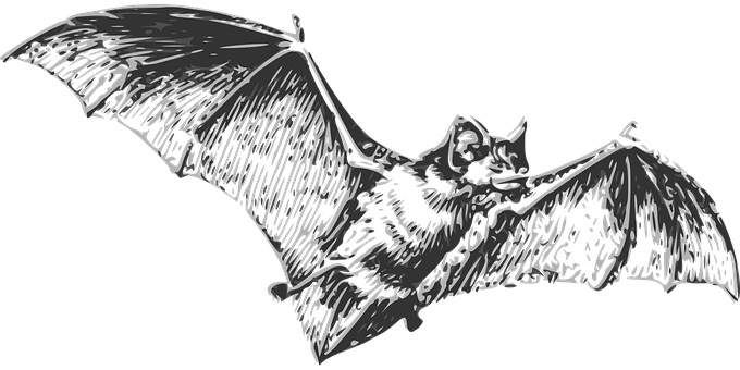 Flying Bat Silhouette PNG Image