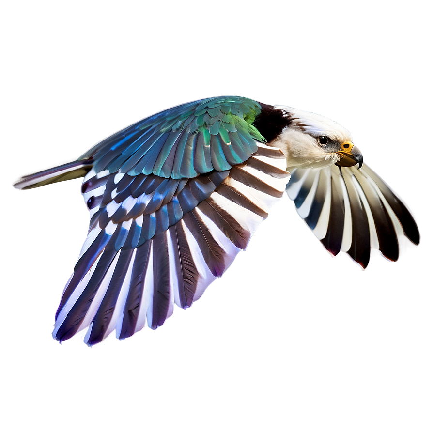 Flying Bird Transparent Png 97 PNG Image