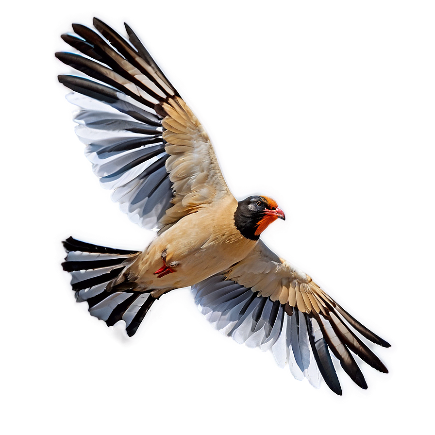 Flying Bird With Open Wings Png 91 PNG Image