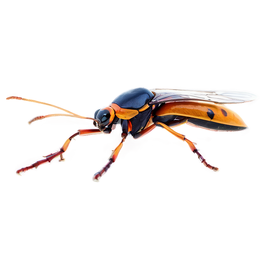 Flying Bug Png Vbr PNG Image