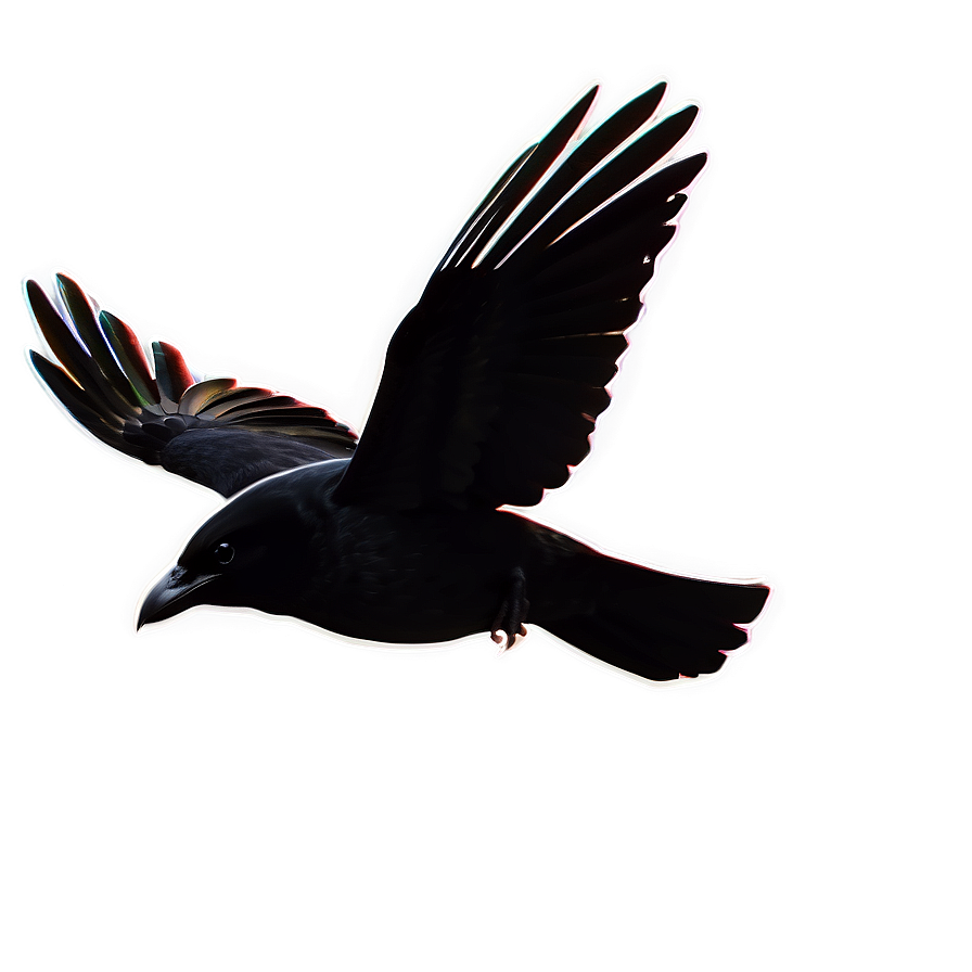 Flying Crow Png 05232024 PNG Image