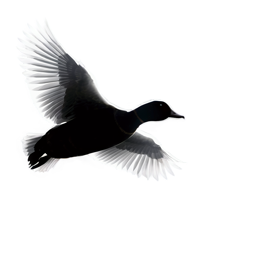 Flying Duck Silhouette Png Sah14 PNG Image