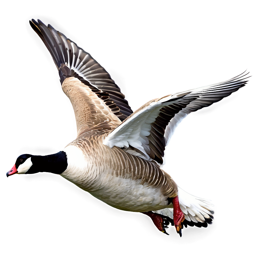 Flying Goose In Sky Png 06112024 PNG Image