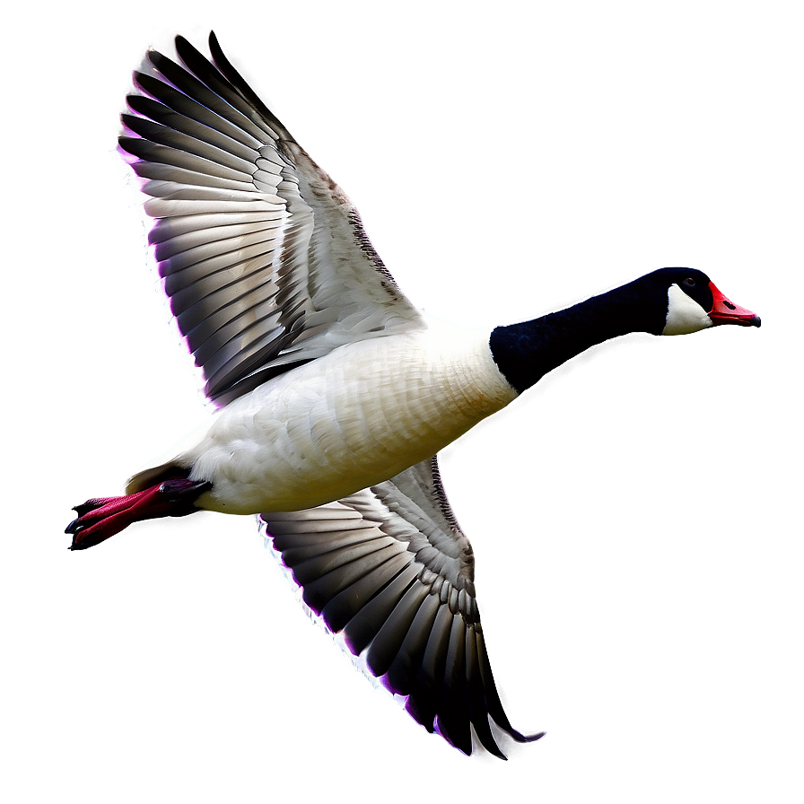 Flying Goose In Sky Png 29 PNG Image