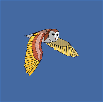 Flying Owl Illustration PNG Image