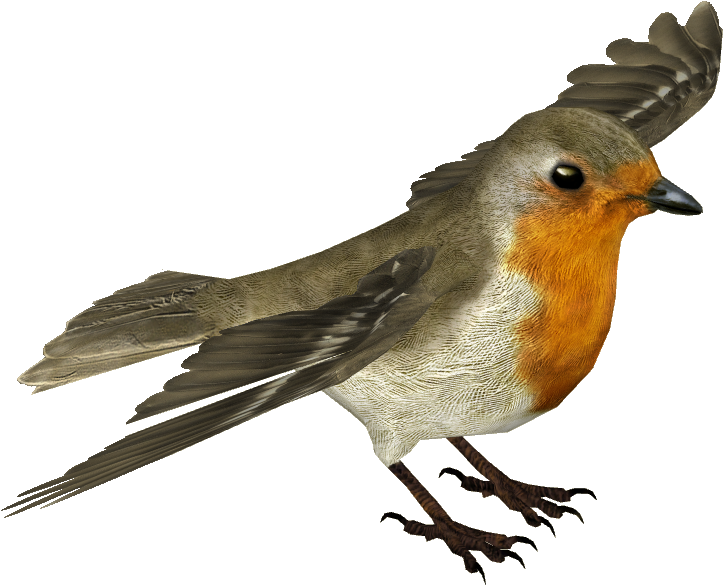 Flying Robin Transparent Background PNG Image