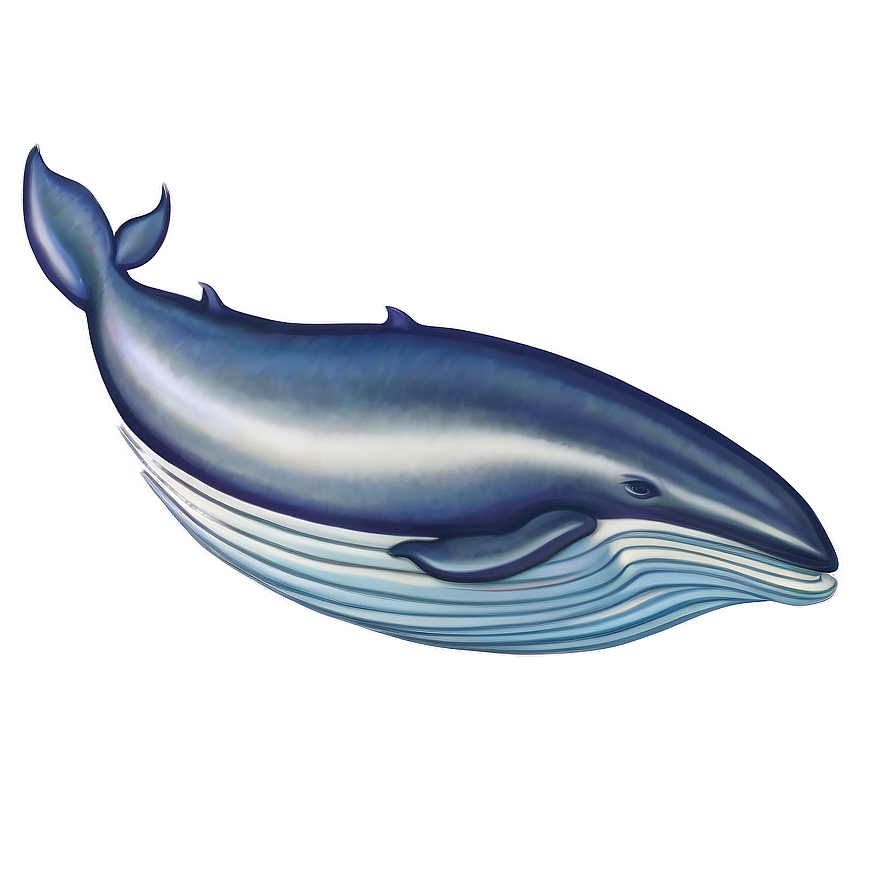 Flying Whale Png Goe41 PNG Image