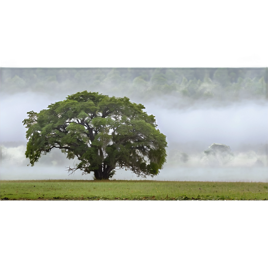 Foggy Countryside Png Uok82 PNG Image