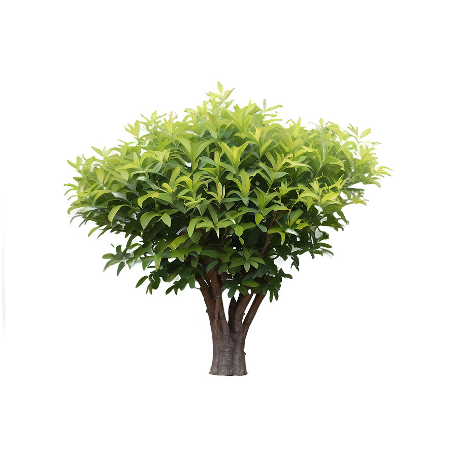 Foliage Shrubs Png Sml PNG Image