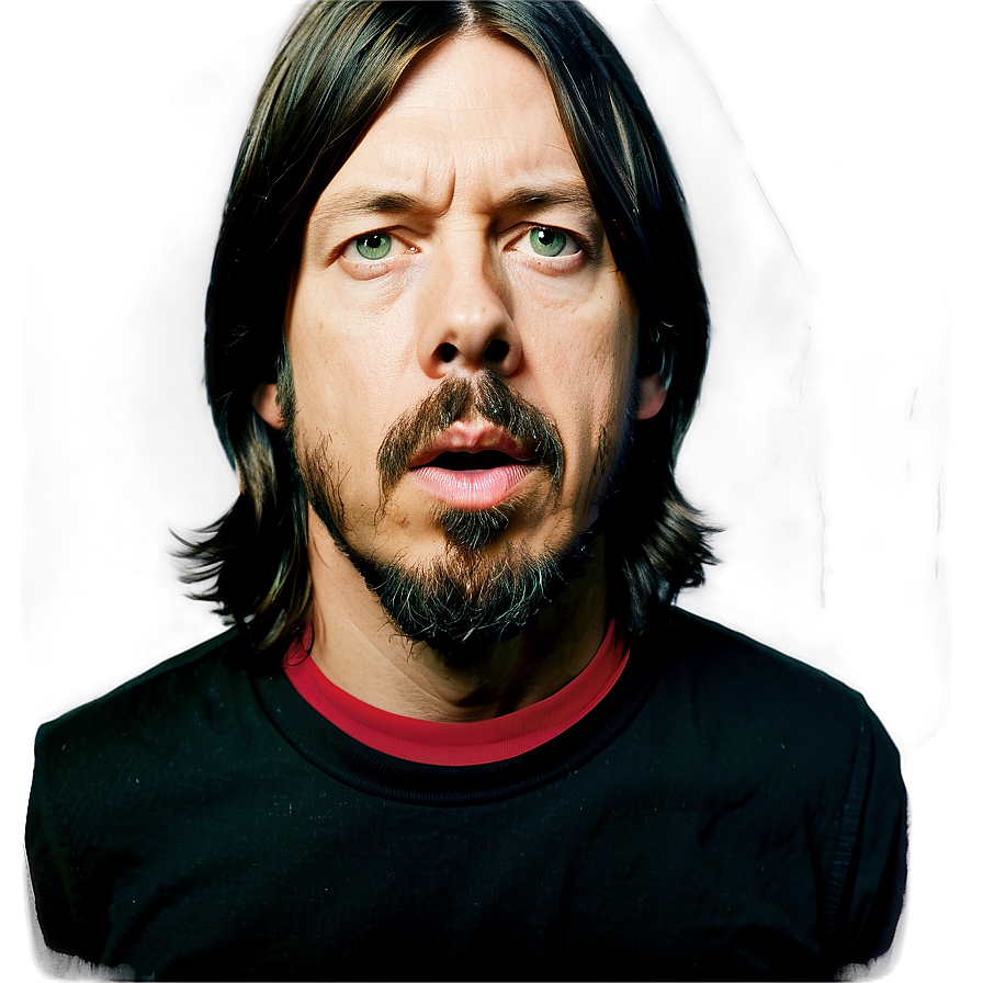 Foo Fighters Vinyl Cover Png 24 PNG Image