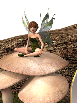 Forest Fairy Sittingon Mushroom.jpg PNG Image