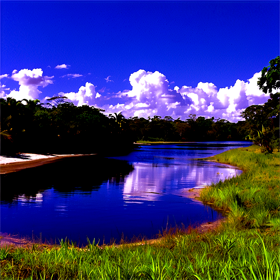 Forest River Crossing Png Drb PNG Image