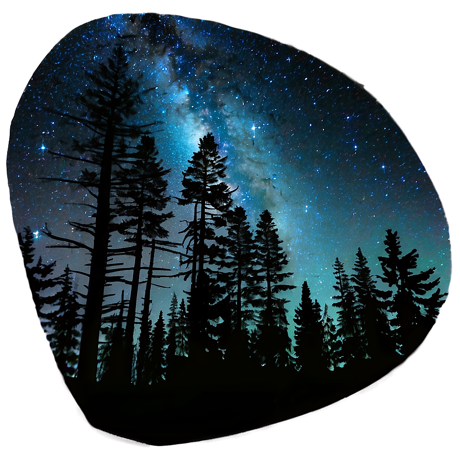 Forest Starry Sky Png Yiv73 PNG Image