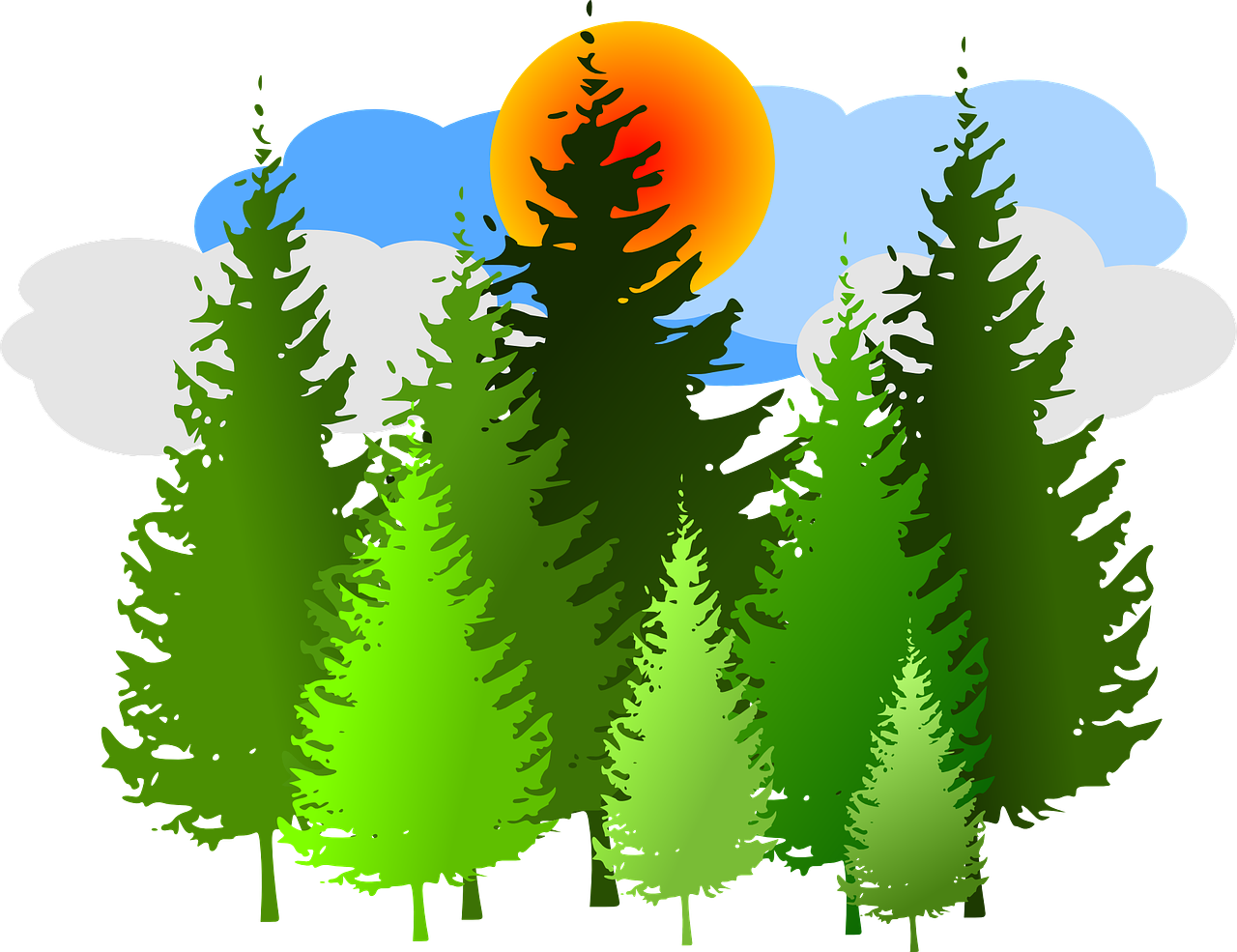 Forest Sunrise Artwork.png PNG Image