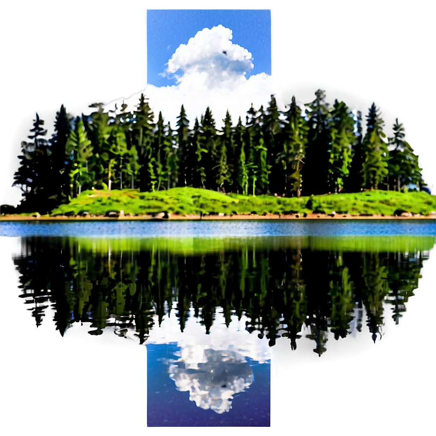 Forest Trees Reflection Lake Png Jwc80 PNG Image