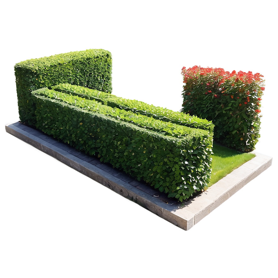 Formal Garden Shrubs Png 06122024 PNG Image